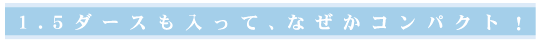 1.5_[XāAȂRpNgI
