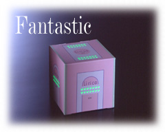 ��ꥫ���߸��̿���Fantastic
